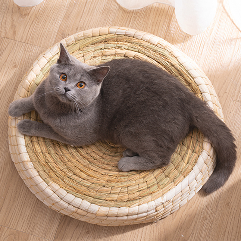 The Perfect Eco-Friendly Haven for Your Feline Friend