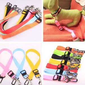 Car Seatbelt Harness for Dogs & Cats