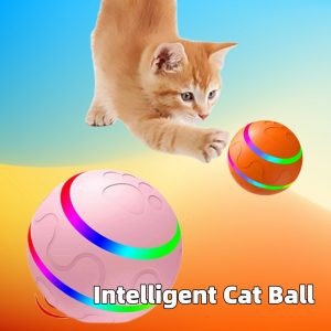 Automatic Pet Ball